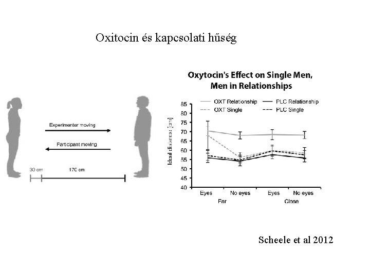 Oxitocin és kapcsolati hűség Scheele et al 2012 