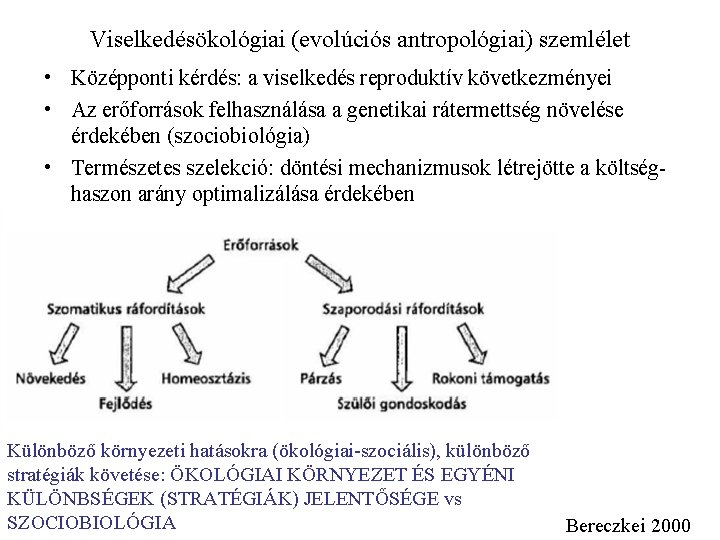 Viselkedésökológiai (evolúciós antropológiai) szemlélet • Középponti kérdés: a viselkedés reproduktív következményei • Az erőforrások