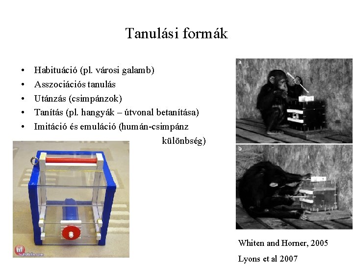 Tanulási formák • • • Habituáció (pl. városi galamb) Asszociációs tanulás Utánzás (csimpánzok) Tanítás