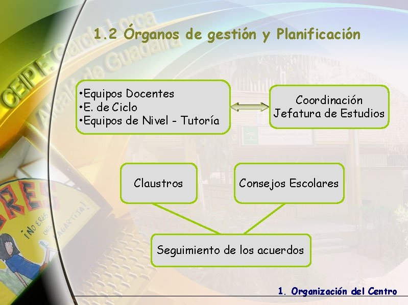 1. 2 Órganos de gestión y Planificación • Equipos Docentes • E. de Ciclo