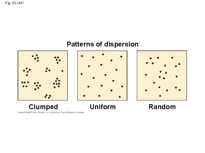 Fig. 53 -UN 1 Patterns of dispersion Clumped Uniform Random 