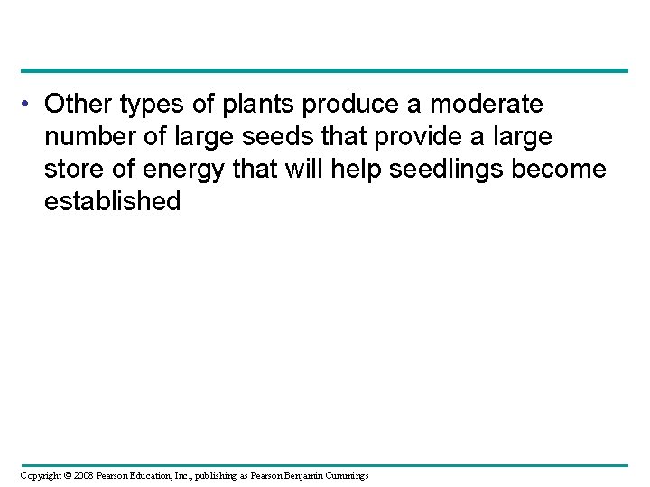  • Other types of plants produce a moderate number of large seeds that