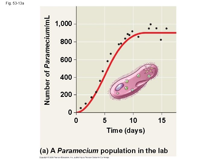 Number of Paramecium/m. L Fig. 53 -13 a 1, 000 800 600 400 200