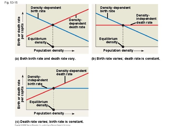 Fig. 53 -15 Birth or death rate per capita Density-dependent birth rate Densitydependent death