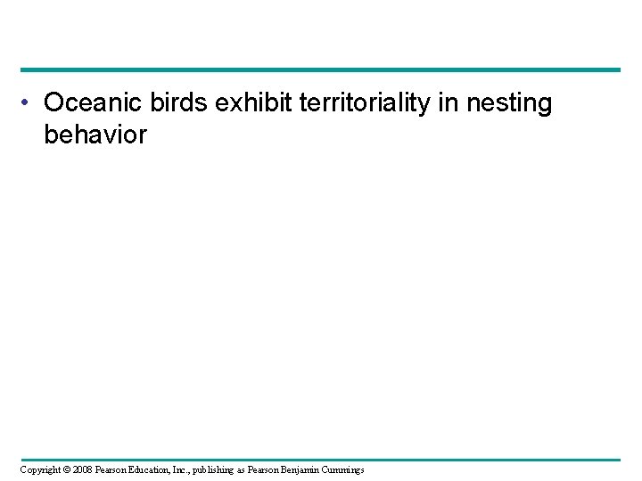  • Oceanic birds exhibit territoriality in nesting behavior Copyright © 2008 Pearson Education,
