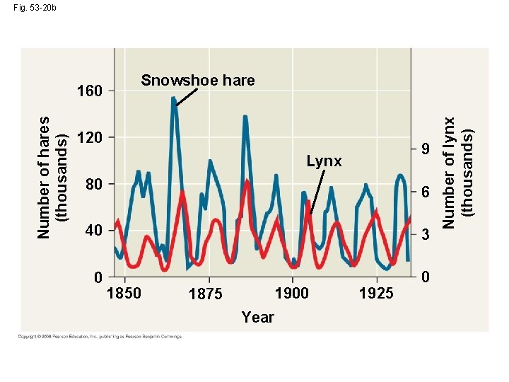 Fig. 53 -20 b Snowshoe hare 120 9 Lynx 80 6 40 3 0