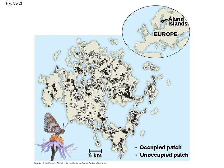 Fig. 53 -21 ˚ Aland Islands EUROPE 5 km Occupied patch Unoccupied patch 