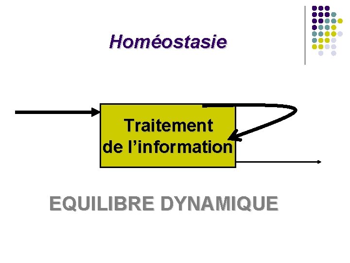 Homéostasie Traitement de l’information EQUILIBRE DYNAMIQUE Homéostasie Traitement de l’information EQUILIBRE DYNAMIQUE