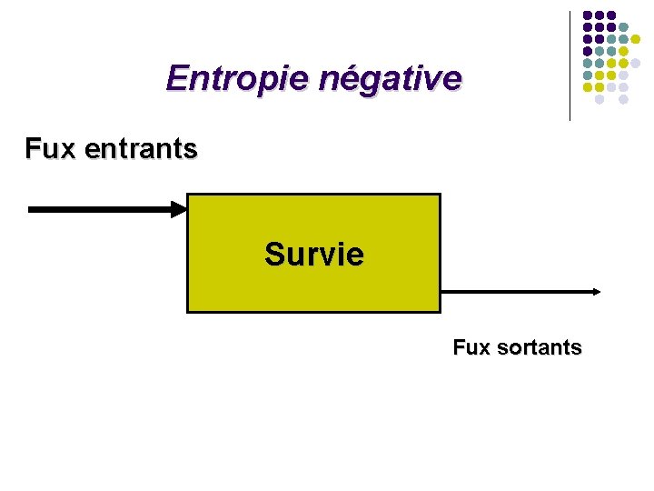 Entropie négative Fux entrants Survie Fux sortants Entropie négative Fux entrants Survie Fux sortants