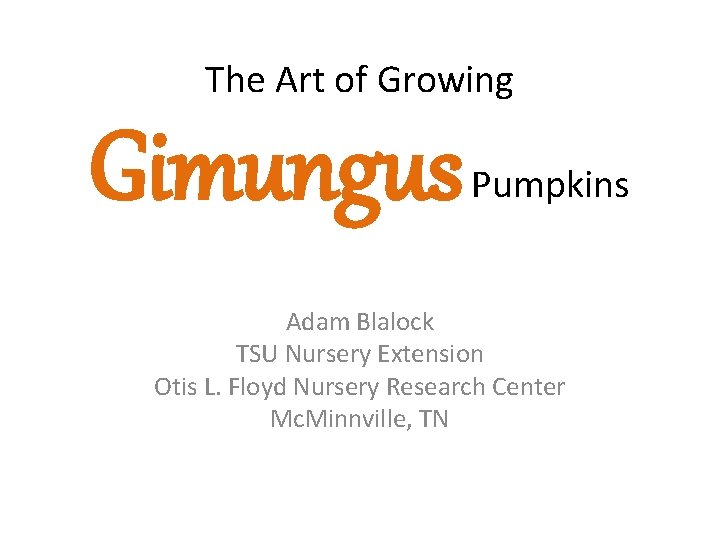 The Art of Growing Gimungus Pumpkins Adam Blalock TSU Nursery Extension Otis L. Floyd