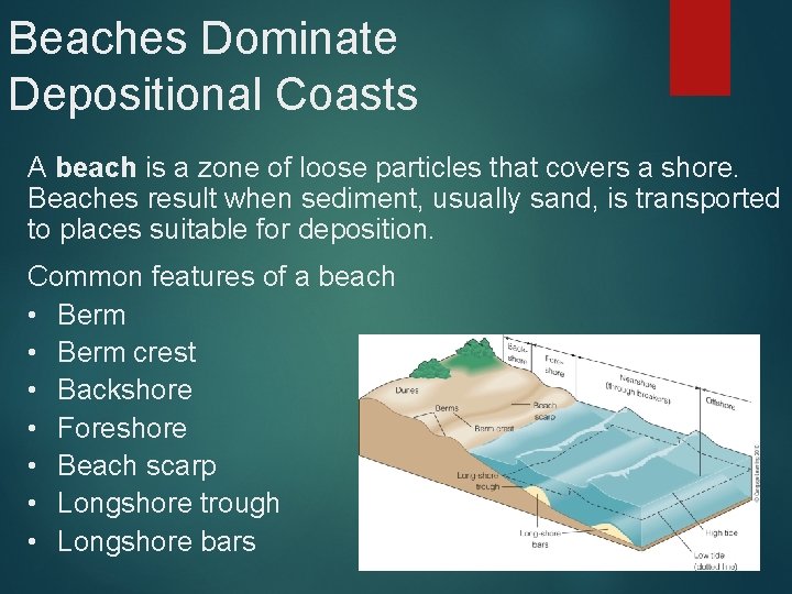Beaches Dominate Depositional Coasts A beach is a zone of loose particles that covers