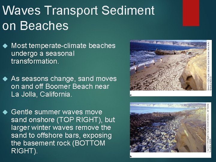 Waves Transport Sediment on Beaches Most temperate-climate beaches undergo a seasonal transformation. As seasons