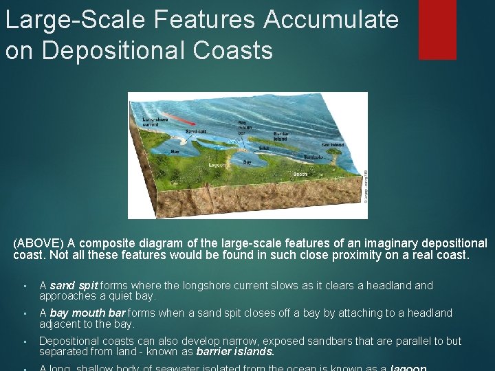Large-Scale Features Accumulate on Depositional Coasts (ABOVE) A composite diagram of the large-scale features