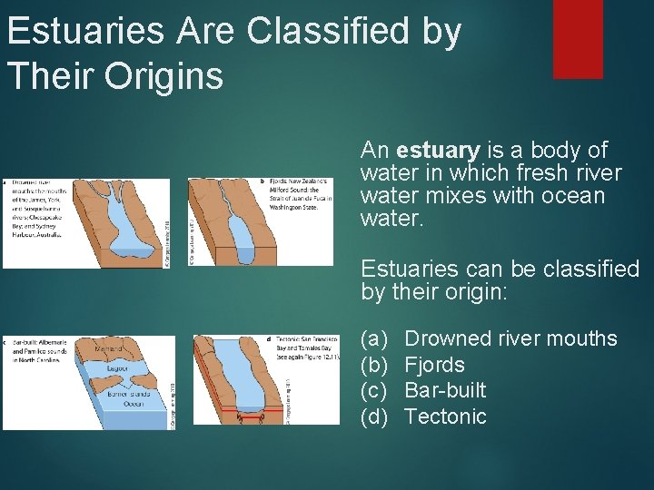 Estuaries Are Classified by Their Origins An estuary is a body of water in