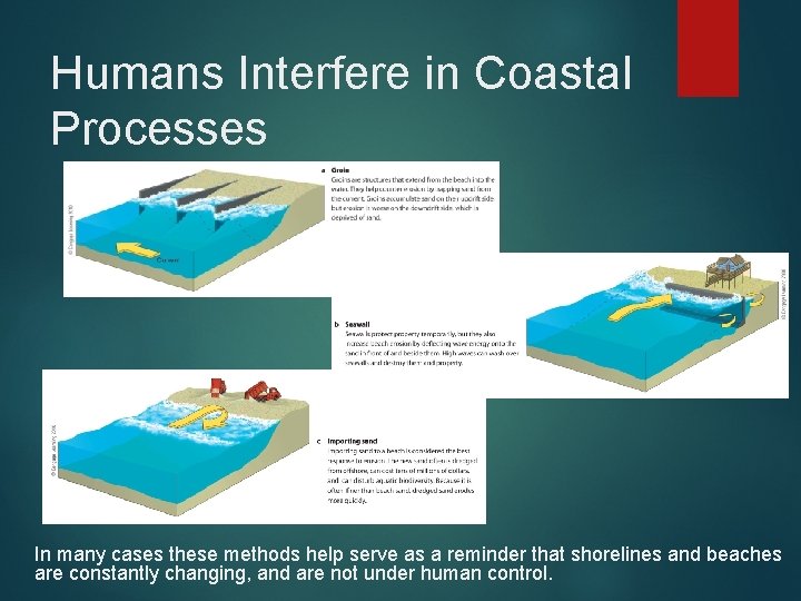 Humans Interfere in Coastal Processes In many cases these methods help serve as a