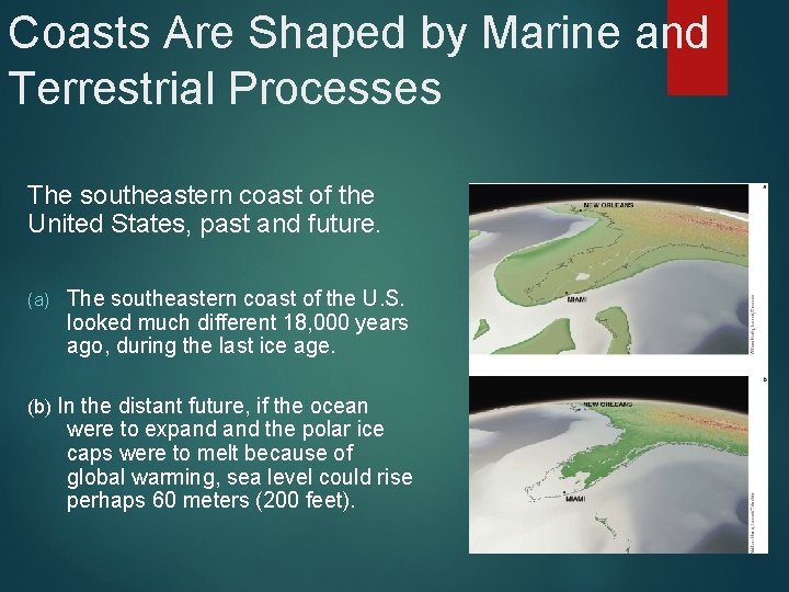 Coasts Are Shaped by Marine and Terrestrial Processes The southeastern coast of the United