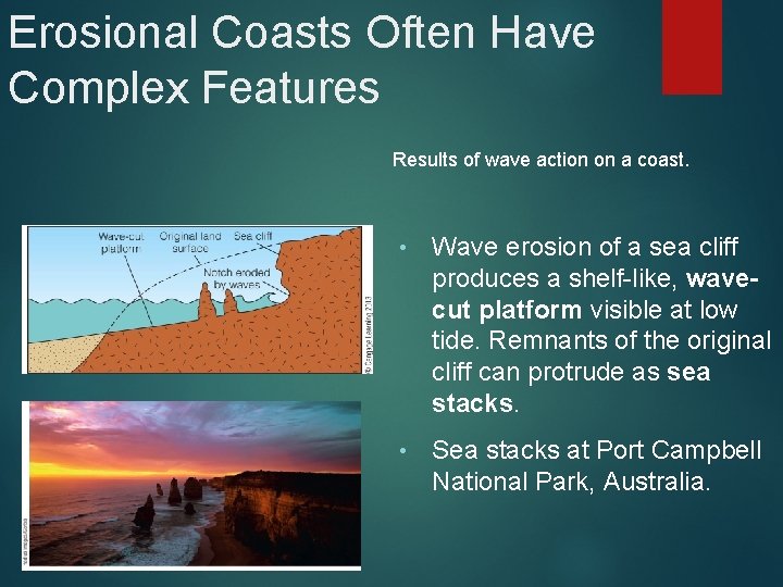 Erosional Coasts Often Have Complex Features Results of wave action on a coast. •