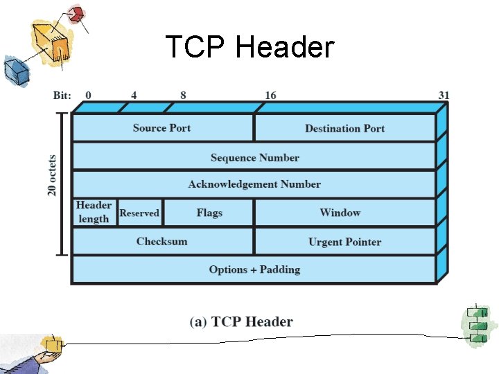 TCP Header 