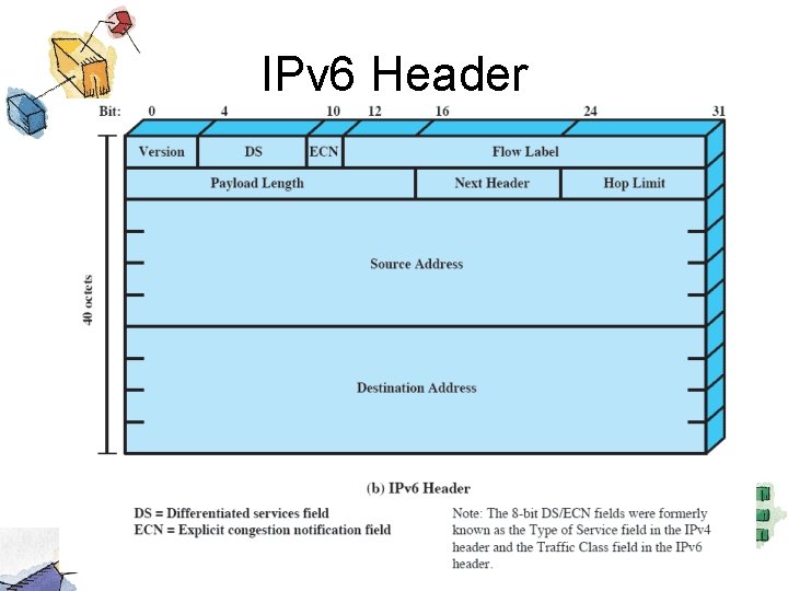 IPv 6 Header 