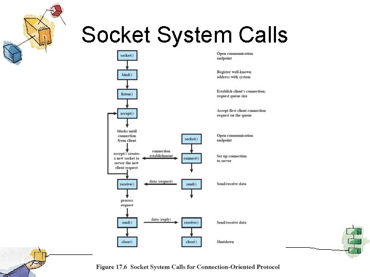 Socket System Calls 
