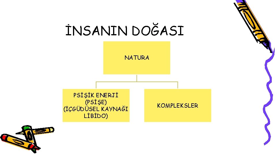 İNSANIN DOĞASI NATURA PSİŞİK ENERJİ (PSİŞE) (İÇGÜDÜSEL KAYNAĞI LİBİDO) KOMPLEKSLER 