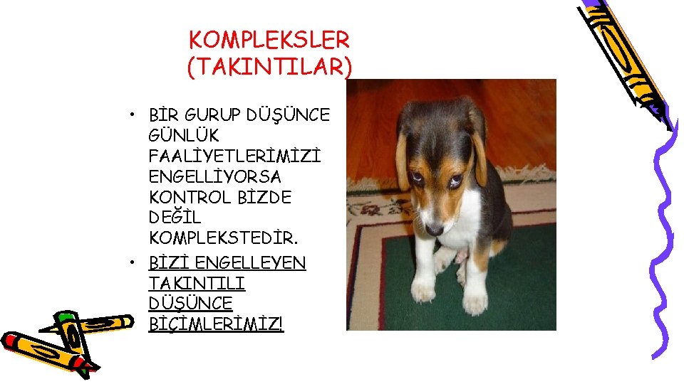 KOMPLEKSLER (TAKINTILAR) • BİR GURUP DÜŞÜNCE GÜNLÜK FAALİYETLERİMİZİ ENGELLİYORSA KONTROL BİZDE DEĞİL KOMPLEKSTEDİR. •