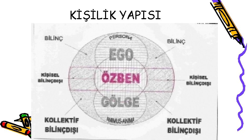 KİŞİLİK YAPISI 