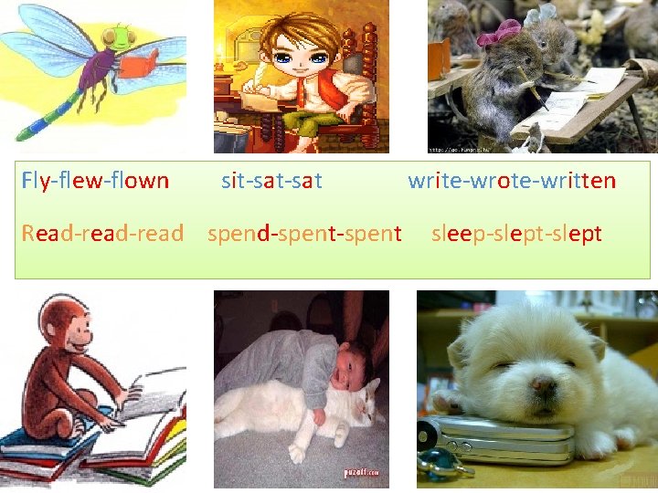 Fly-flew-flown sit-sat Read-read spend-spent write-wrote-written sleep-slept 