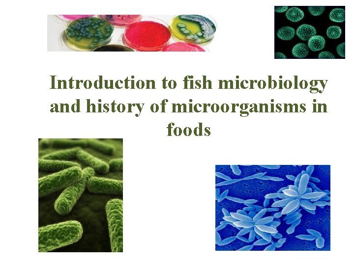 Introduction to fish microbiology and history of microorganisms in foods 