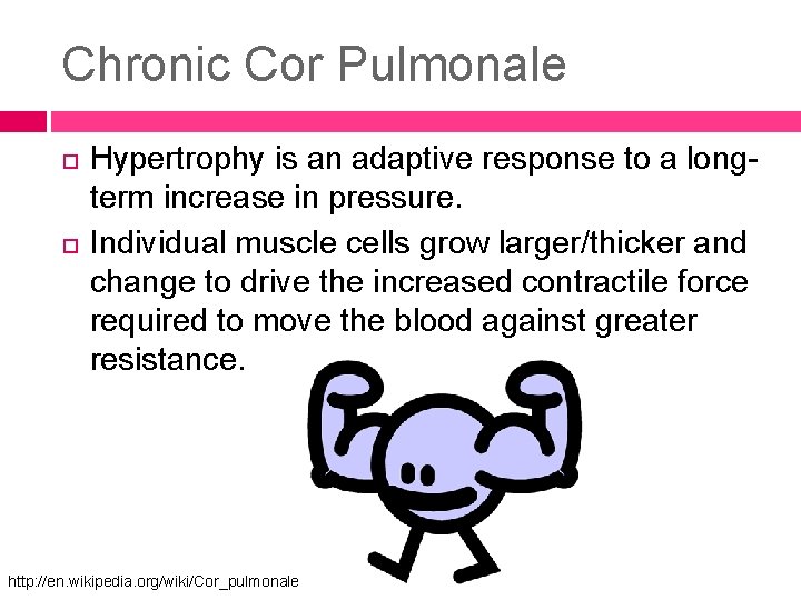 Chronic Cor Pulmonale Hypertrophy is an adaptive response to a longterm increase in pressure.