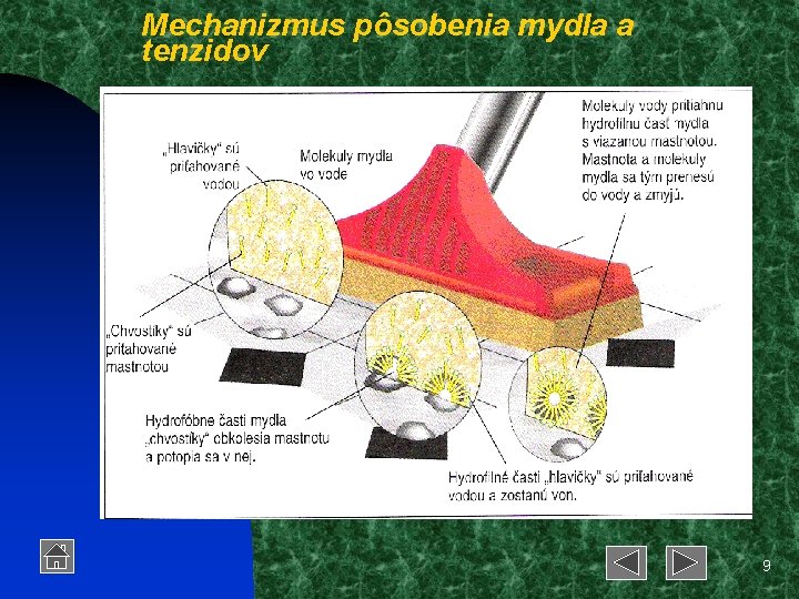 Mechanizmus pôsobenia mydla a tenzidov 9 