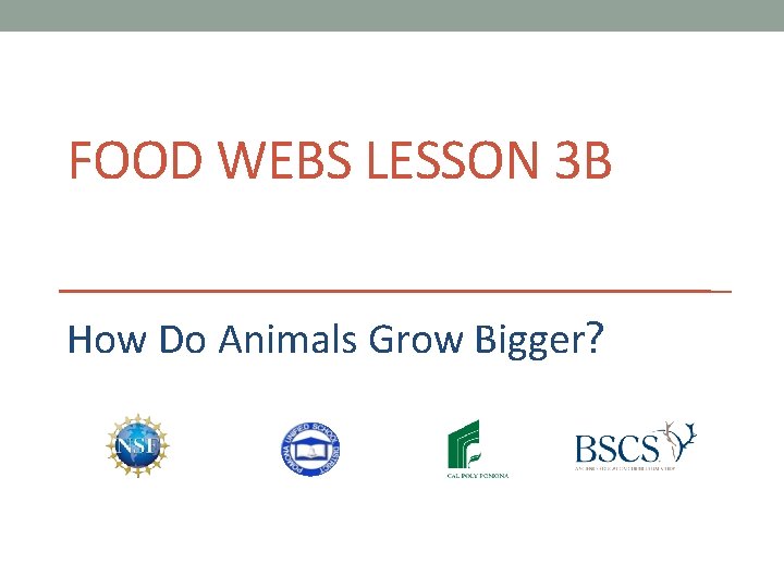 FOOD WEBS LESSON 3 B How Do Animals Grow Bigger? 