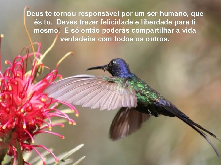 Deus te tornou responsável por um ser humano, que és tu. Deus te tornou