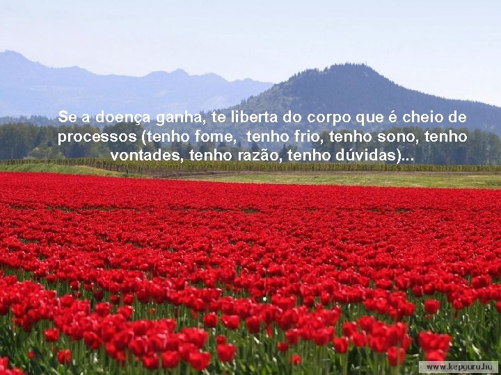 Se tu vences, serás mais humilde, mais agradecido. . . Portanto, facilmente feliz, livre