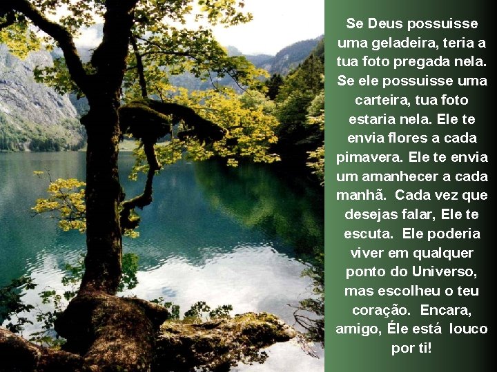 Se Deus possuisse uma geladeira, teria a tua foto pregada nela. Se ele possuisse