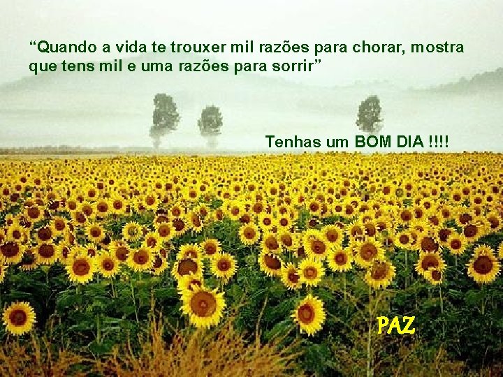 “Quando a vida te trouxer mil razões para chorar, mostra que tens mil e