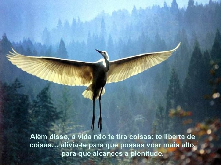 Além disso, a vida não te tira coisas: te liberta de coisas… alivia-te para