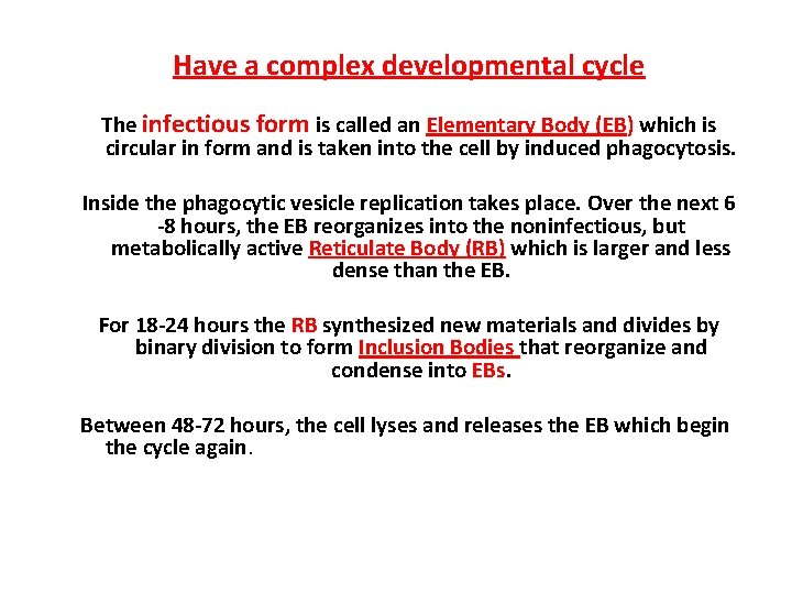Have a complex developmental cycle The infectious form is called an Elementary Body (EB)