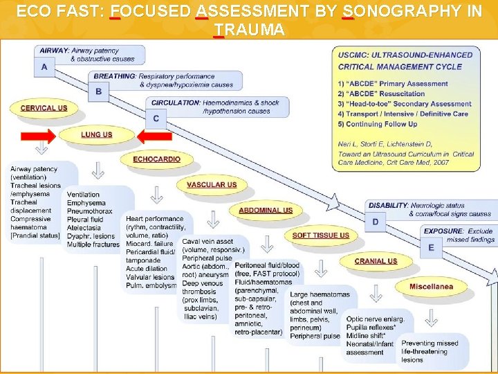 ECO FAST: FOCUSED ASSESSMENT BY SONOGRAPHY IN TRAUMA 