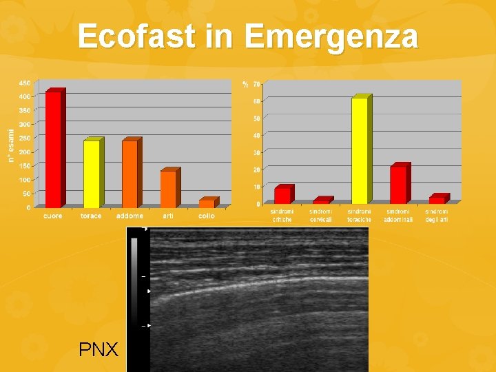 Ecofast in Emergenza PNX 