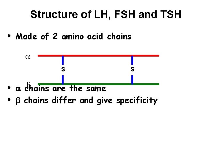 Structure of LH, FSH and TSH • Made of 2 amino acid chains a