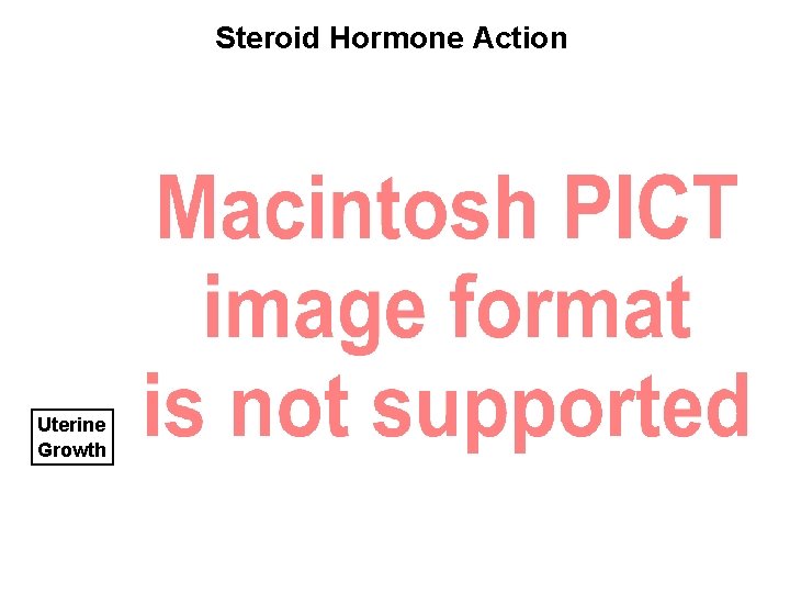 Steroid Hormone Action Uterine Growth 