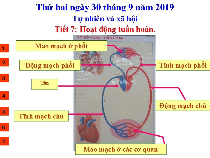 Thứ hai ngày 30 tháng 9 năm 2019 Tự nhiên và xã hội Tiết