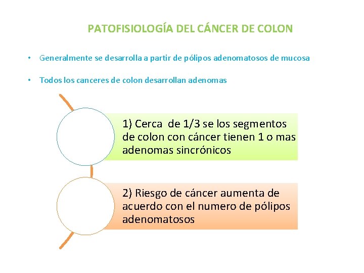 PATOFISIOLOGÍA DEL CÁNCER DE COLON • Generalmente se desarrolla a partir de pólipos adenomatosos PATOFISIOLOGÍA DEL CÁNCER DE COLON • Generalmente se desarrolla a partir de pólipos adenomatosos