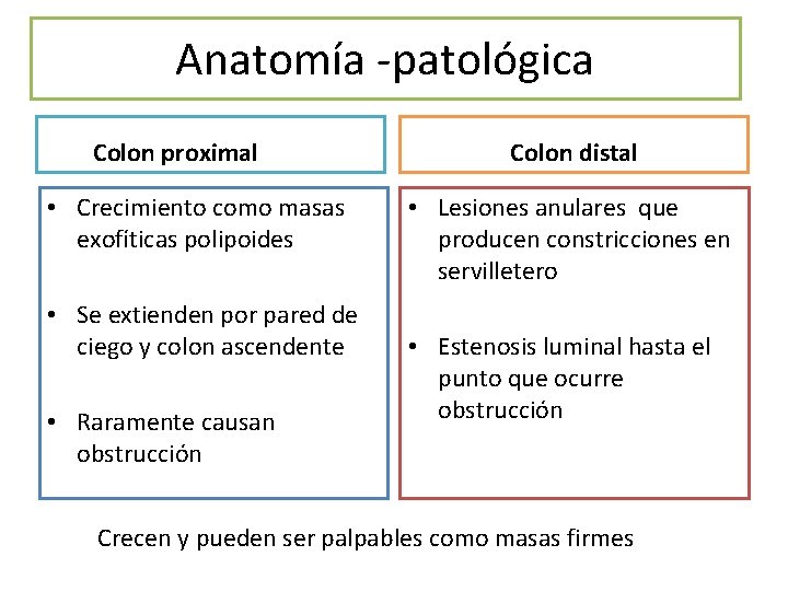 Anatomía -patológica Colon proximal • Crecimiento como masas exofíticas polipoides • Se extienden por Anatomía -patológica Colon proximal • Crecimiento como masas exofíticas polipoides • Se extienden por