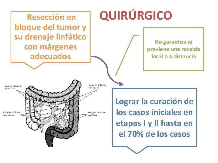 Resección en bloque del tumor y su drenaje linfático con márgenes adecuados QUIRÚRGICO No Resección en bloque del tumor y su drenaje linfático con márgenes adecuados QUIRÚRGICO No