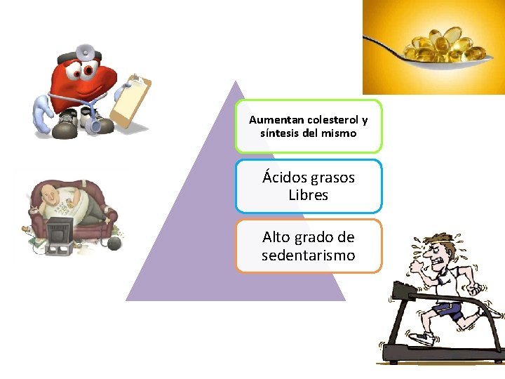 Aumentan colesterol y síntesis del mismo Ácidos grasos Libres Alto grado de sedentarismo Aumentan colesterol y síntesis del mismo Ácidos grasos Libres Alto grado de sedentarismo