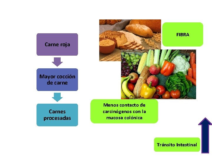 FIBRA Carne roja Mayor cocción de carne Carnes procesadas Menos contacto de carcinógenos con FIBRA Carne roja Mayor cocción de carne Carnes procesadas Menos contacto de carcinógenos con