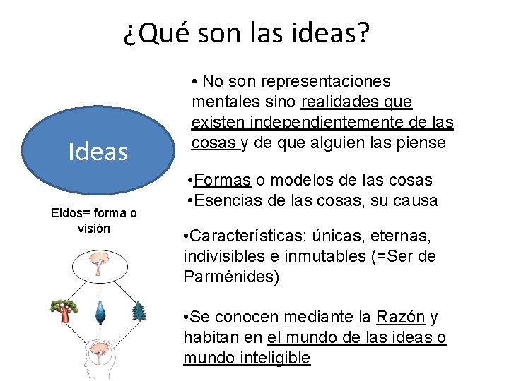 ¿Qué son las ideas? Ideas Eidos= forma o visión • No son representaciones mentales