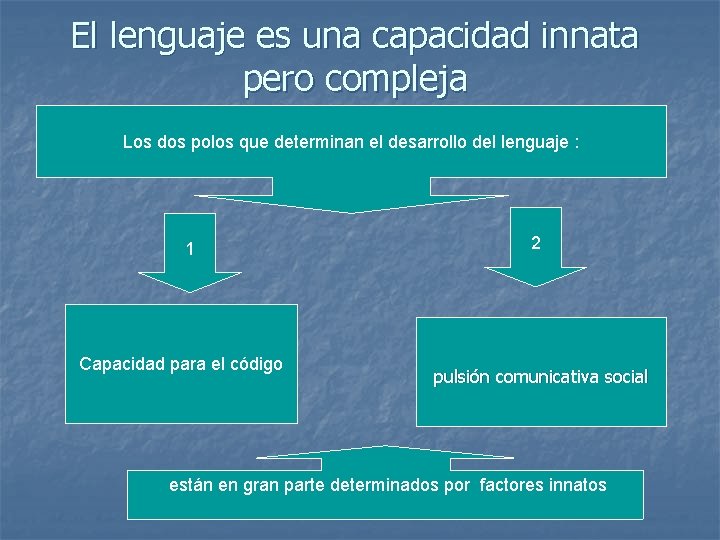 El lenguaje es una capacidad innata pero compleja Los dos polos que determinan el